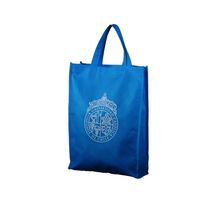 Bolsa TNT 30X40 Azul