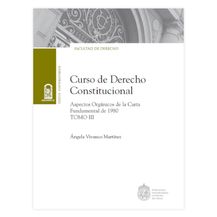 CURSO DE DERECHO CONSTITUCIONAL