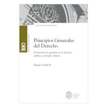 PRINCIPIOS GENERALES DEL DERECHO