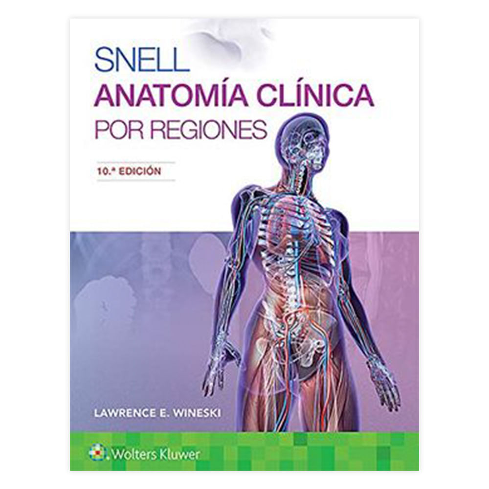 ANATOMIA CLINICA REGIONES