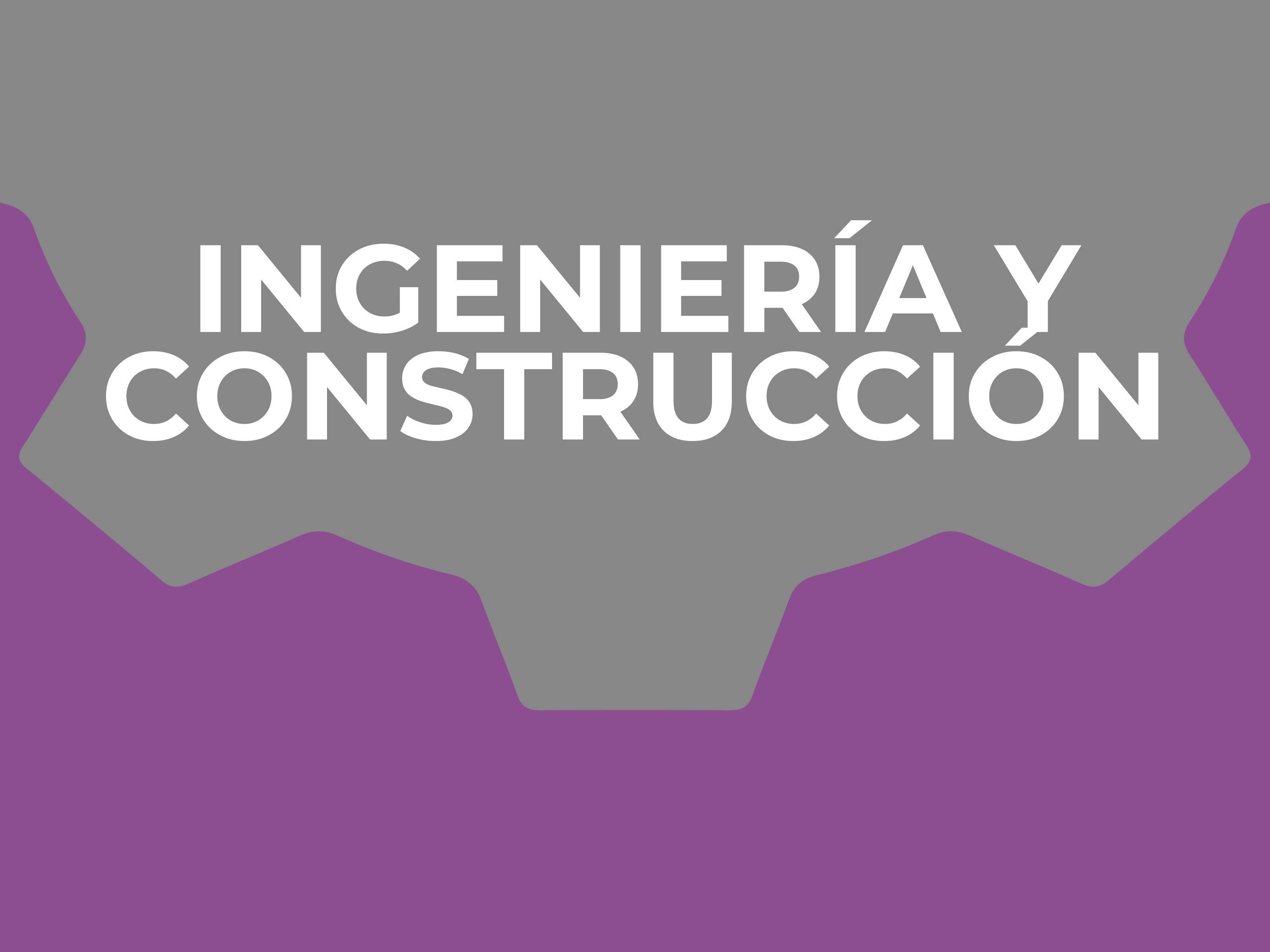 Ingeniería y Construcción